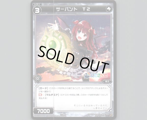 画像1: サーバント T2 (1)
