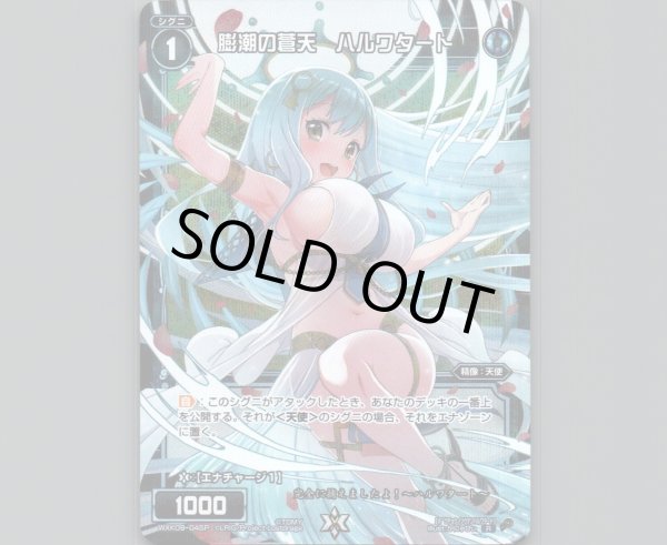 画像1: 膨潮の蒼天 ハルワタート(パラ) (1)