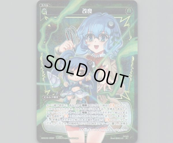 画像1: 改良(パラ) (1)