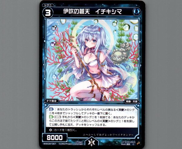 画像1: 伊吹の蒼天 イチキシマ (1)