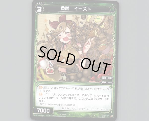 画像1: 食菌 イースト (1)