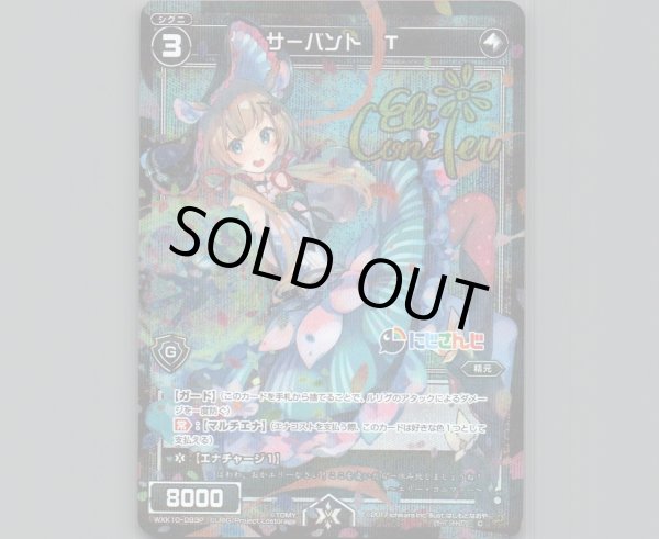 画像1: サーバント T(パラ) (1)