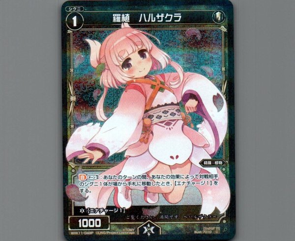 画像1: 羅植 ハルザクラ(パラ) (1)