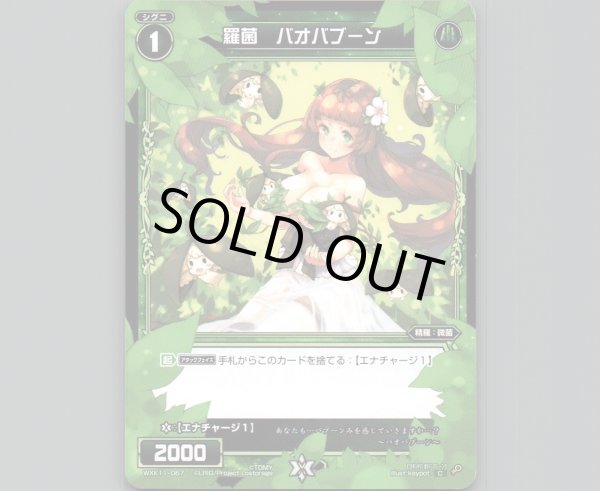 画像1: 羅菌 バオバブーン (1)