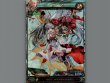 画像1: 【LORD of VERMILIONIII】タマ (1)