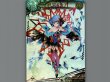 画像1: 【LORD of VERMILIONIII】ピルルク (1)