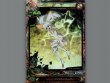 画像1: 【LORD of VERMILIONIII】タマ (1)